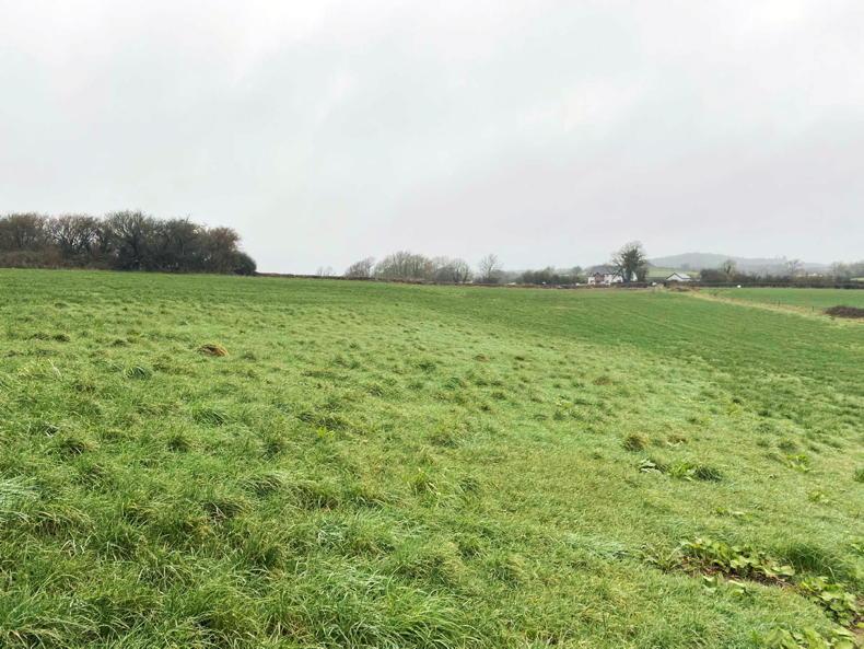 Farms sell well at public auction - Vimarsana News