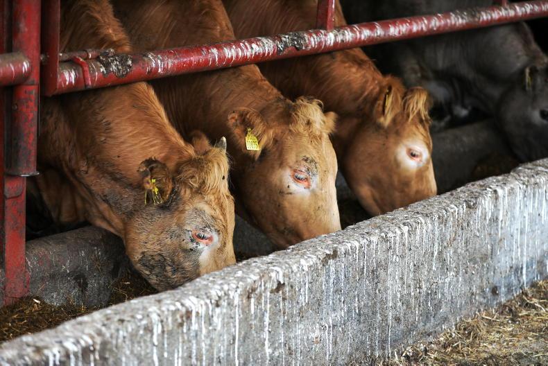 Science supports call for early slaughter premium - Vimarsana News