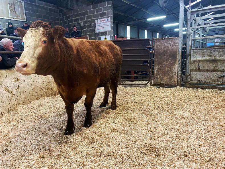 NI news: TB reactors, zero farm walk and red diesel - Vimarsana News