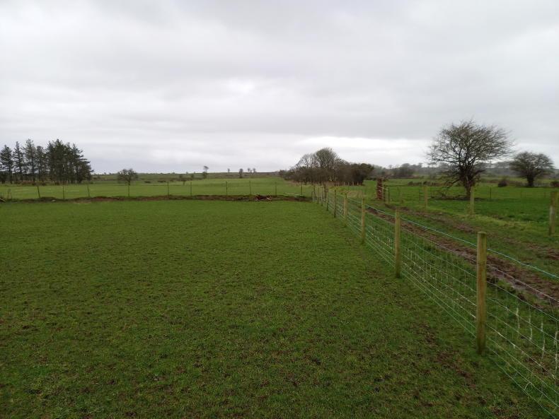 14ac with yard for sale in Galway - Vimarsana News