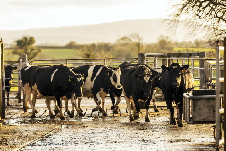 Editorial: a dairy co-op is about more than just milk price and profit - Vimarsana News