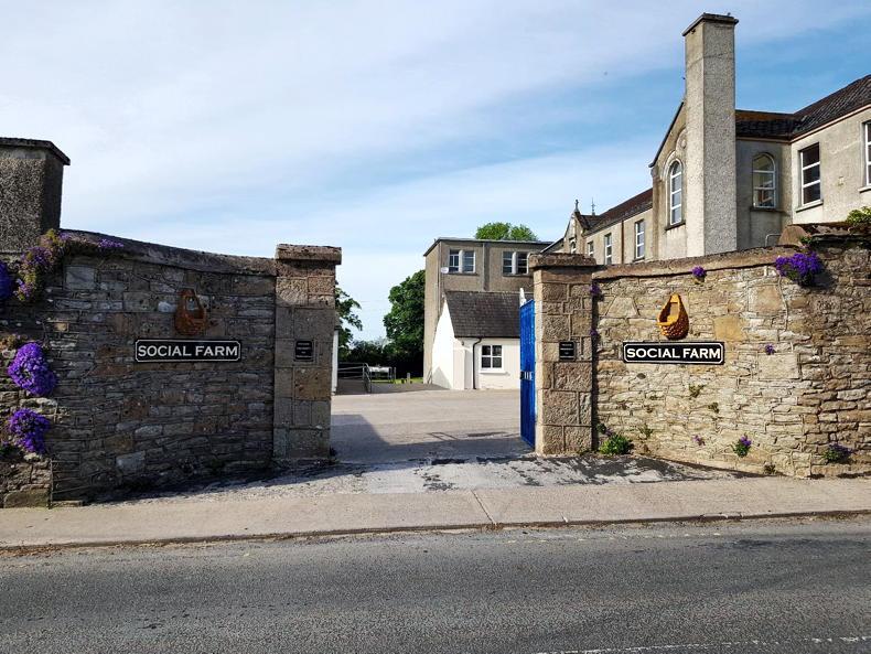 Backchat: Doon Social Farm open day