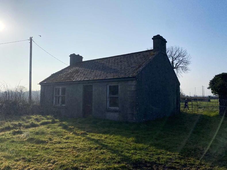 Three farms for sale in Limerick - Vimarsana News