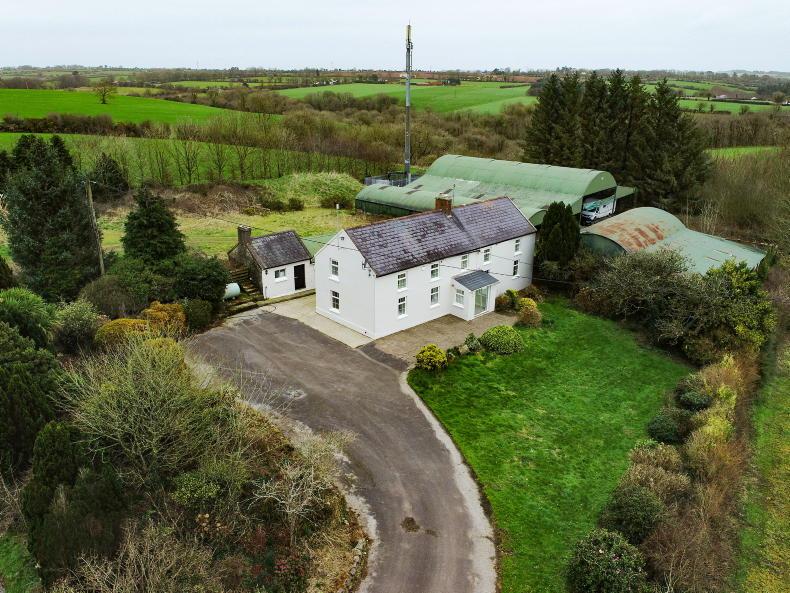 67.5ac farm in good location in Cork - Vimarsana News