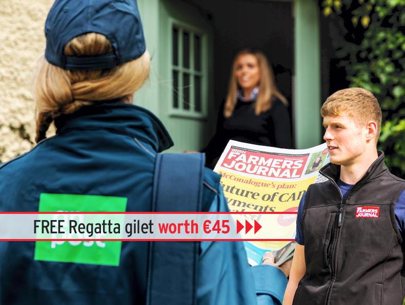 Exclusive Offer: Get a Free Regatta Bodywarmer worth €45!