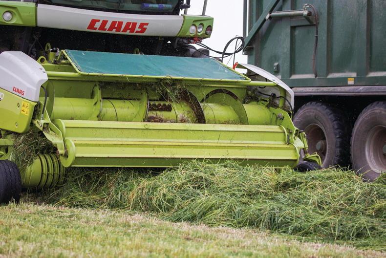 Good silage starts in the field but finishes in the clamp - Vimarsana News