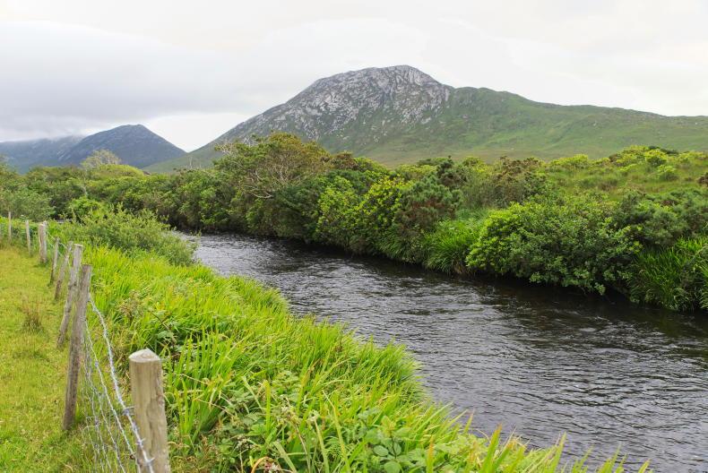 Wild Atlantic Nature project the factory Ballycroy 'craved but couldn't have' 15 May 2022 Free - Vimarsana News