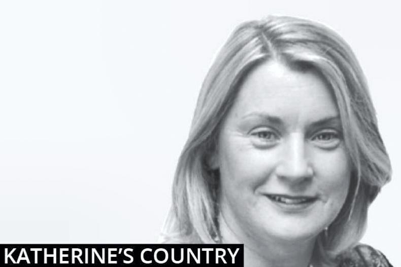Katherine's Coiuntry: Dairygold approach farm safety in a different way - Vimarsana News