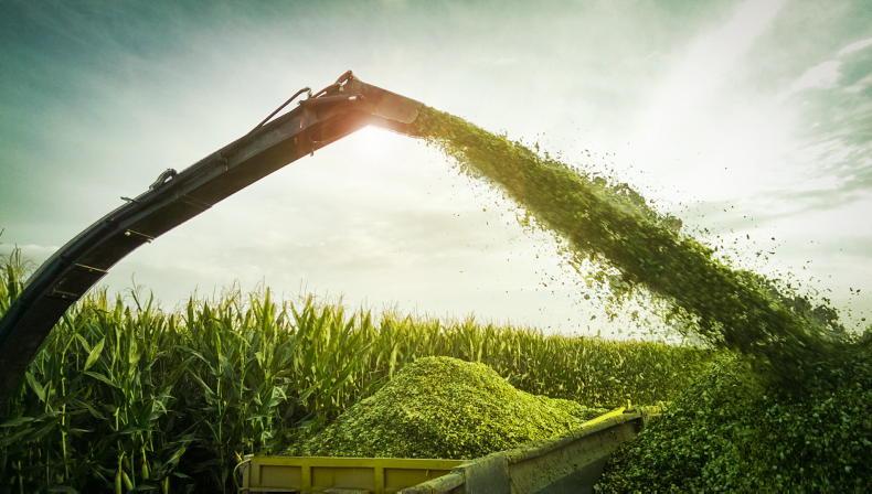 Survey: Do you feed silage contractors 