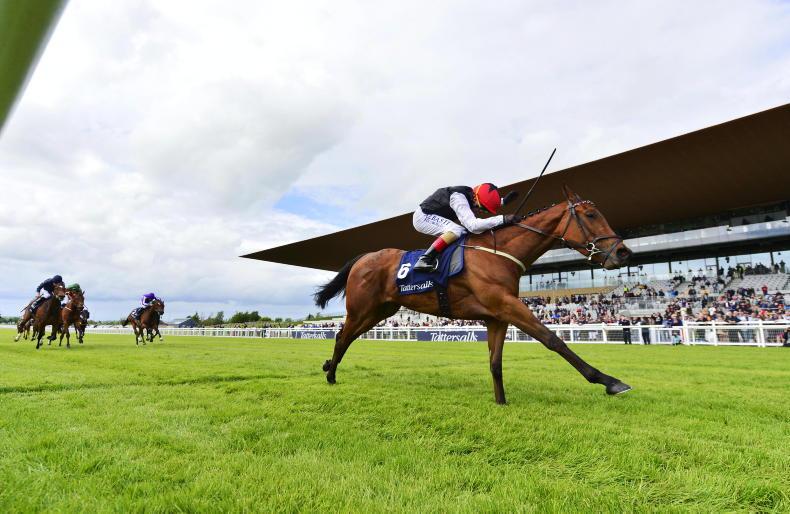 Songs of praise for Weld's super filly 25 May 2022 Free - Vimarsana News