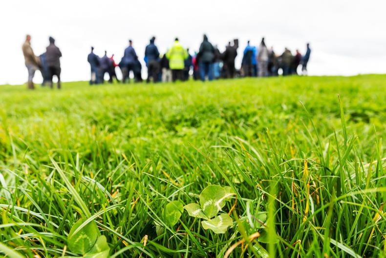 West Cork Co-ops lead industry over peak milk