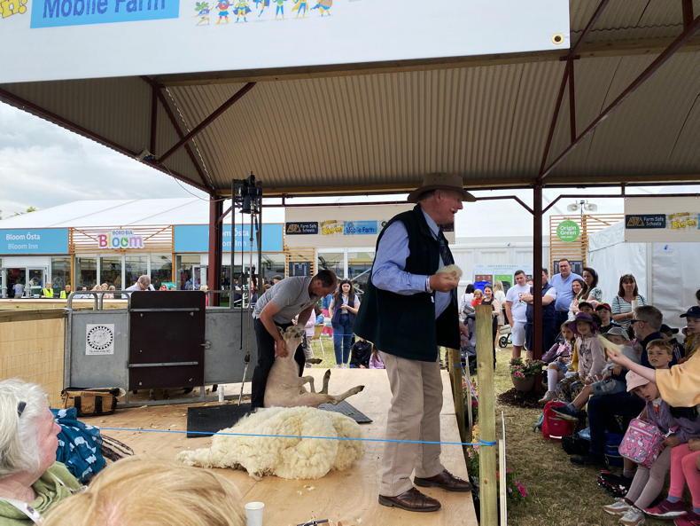 Patrons see sheep shearing and milking demos at Bloom