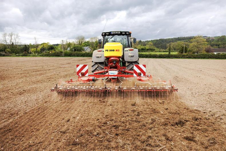 Top tips on planting clover in the coming weeks