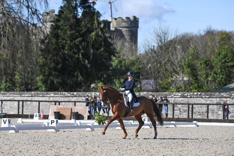 Enniskillen Horse and Pony Show returns with over 90 classes 15 June