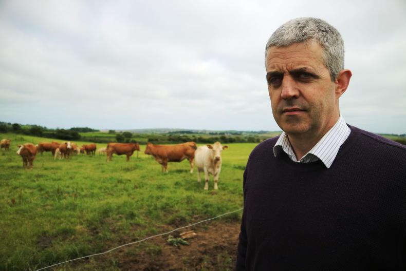 IFA seeks more CAP payments for suckler farmers