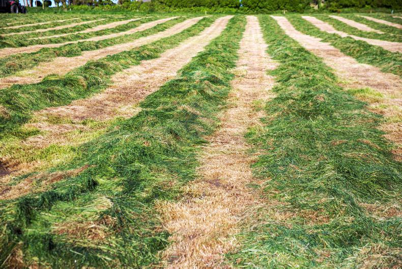 All ANC land to be included in €100/ha silage scheme - Vimarsana News