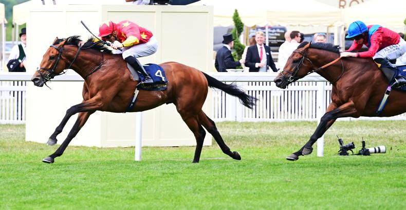 O’Brien and Crosse combine with State to conquer Ascot