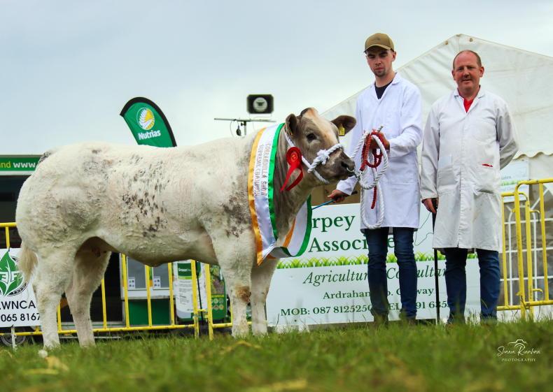 Heavy showers fail to dampen spirits at Corrandulla Show - Vimarsana News