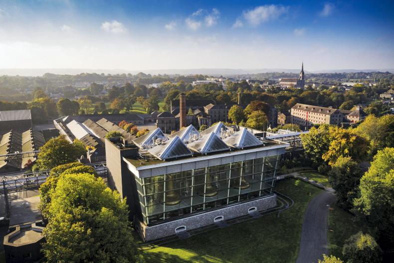 Food News: fate of Irish whiskey is anything but on the rocks