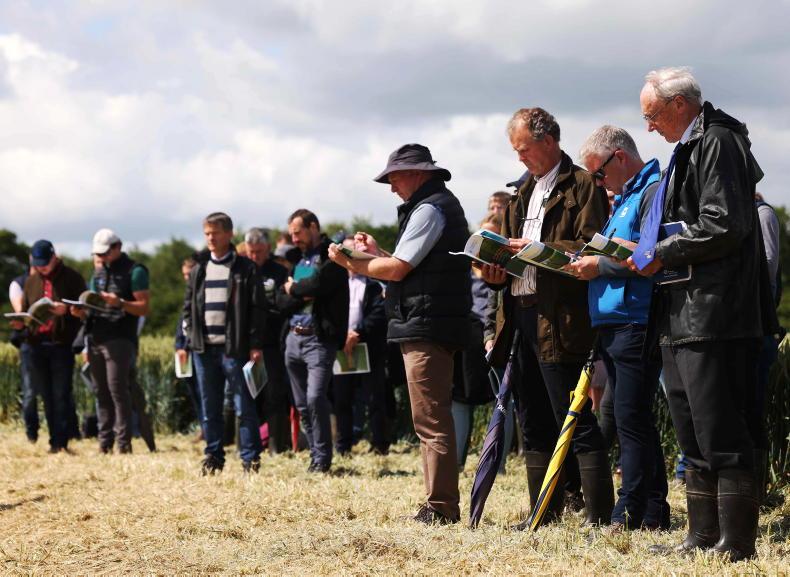 12 spring barley varieties on the seed availability list - Vimarsana News
