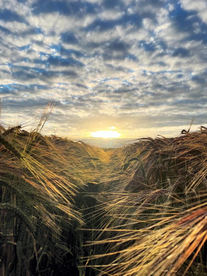 Welcome to a week in the country