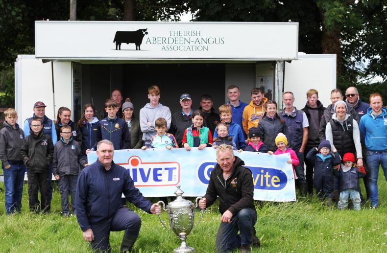 Aberdeen Angus all-Ireland set for Oldcastle Show - Vimarsana News