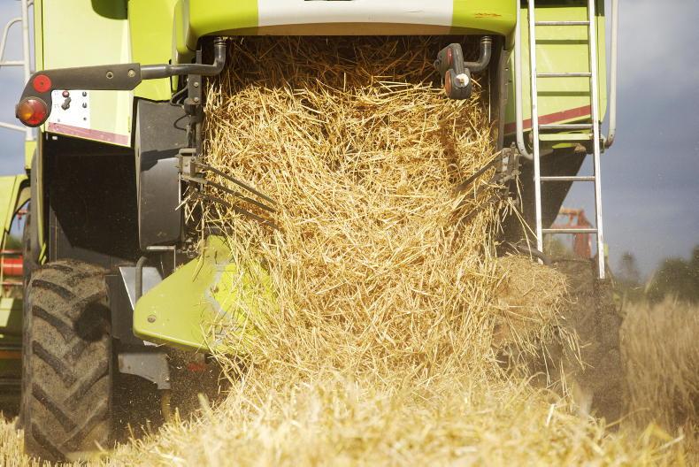 Grain Trends: price slide continues as harvest nears - Vimarsana News