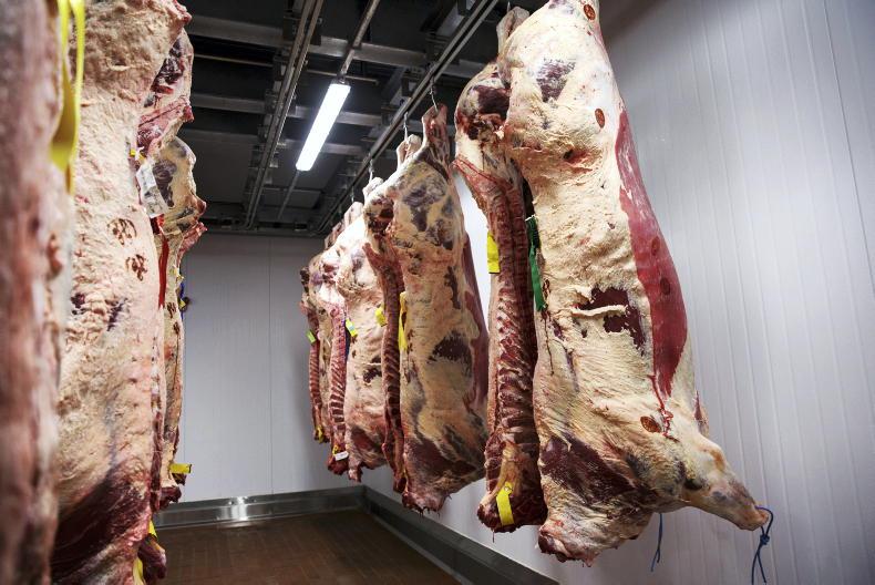 Beef Trends: trade steady as quotes stabilise - Vimarsana News