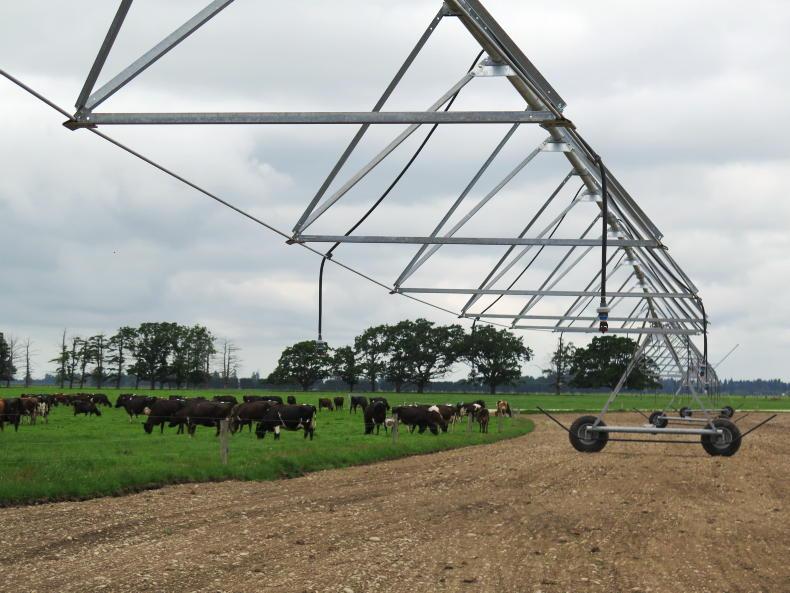 Dairy management: avoiding heat stress in cows - Vimarsana News