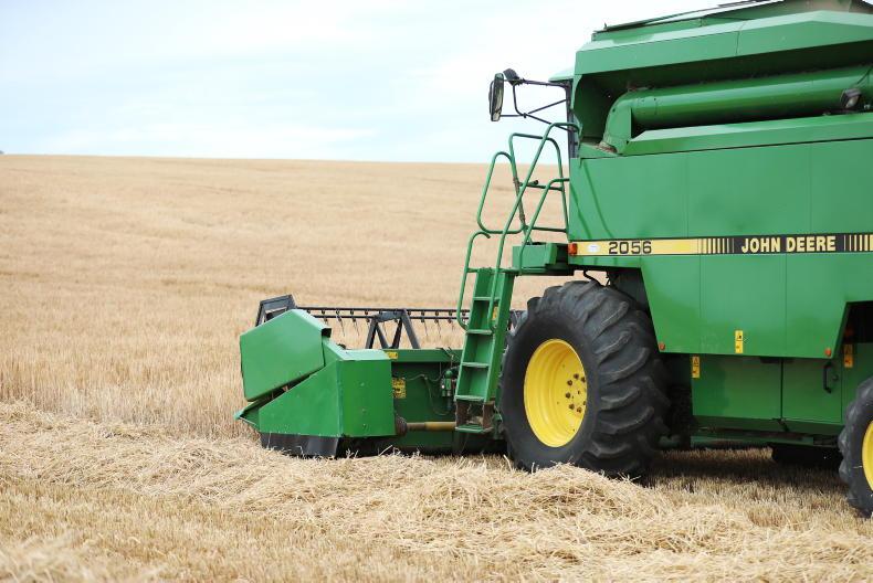 Grain Trends: prices recover following Black Sea deal - Vimarsana News