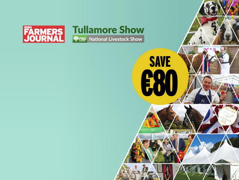 Flash sale: save €80 in our digital subscription promotion