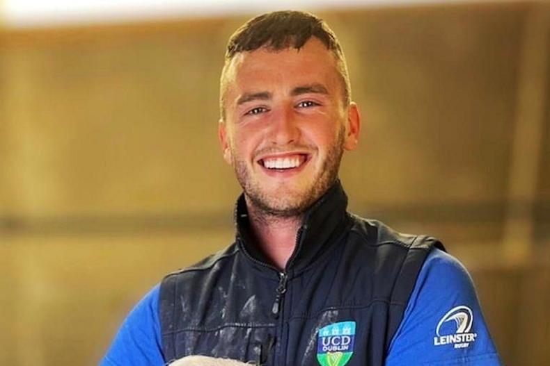 Behind the scenes of the summer show: Shane Maher of Tullow Show - Vimarsana News