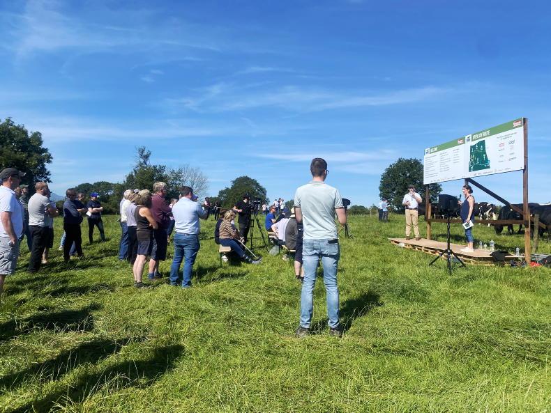 Thrive open day: farmers see a future in dairy-beef - Vimarsana News