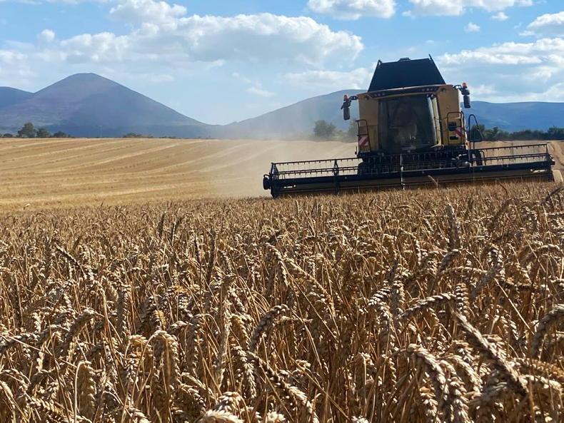 Record €700m harvest in heatwave - Vimarsana News