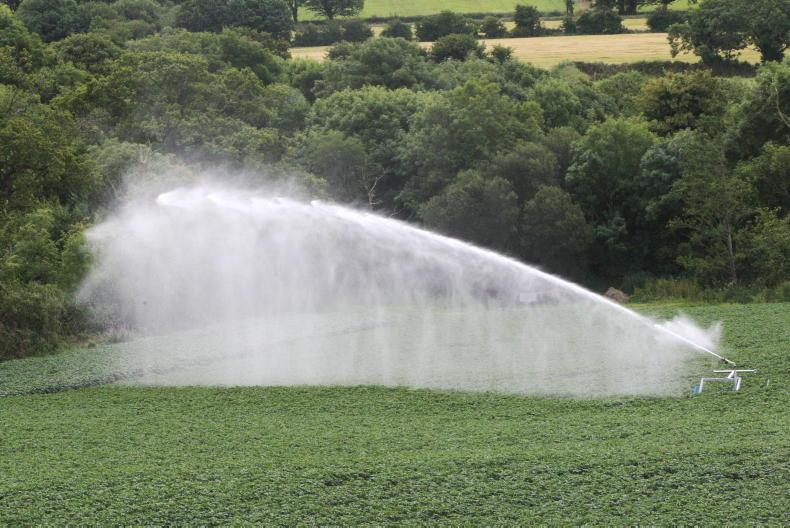 IFA potato report: high temperatures and holidays slow demand - Vimarsana News