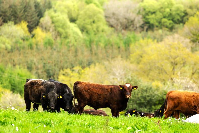 EU farm emissions down 21% since 1990 - Vimarsana News