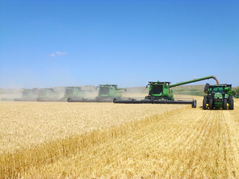 Big wheat price drop fully reversed - Vimarsana News
