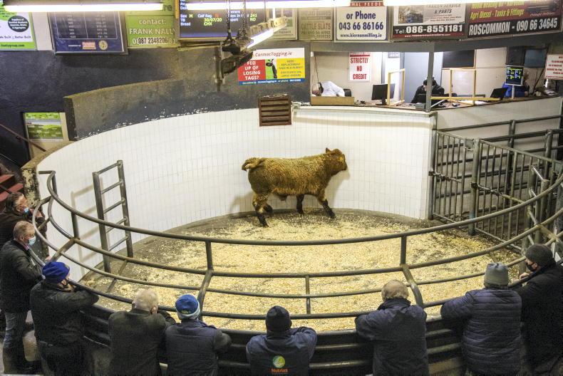 New manager for Roscommon Mart - Vimarsana News