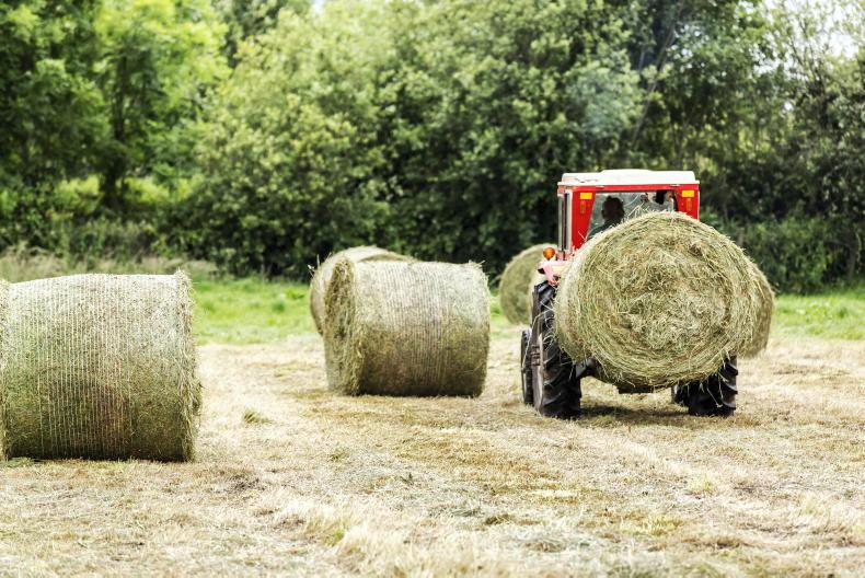 Fodder Support Scheme set to pay an average of €760 per farmer - Vimarsana News