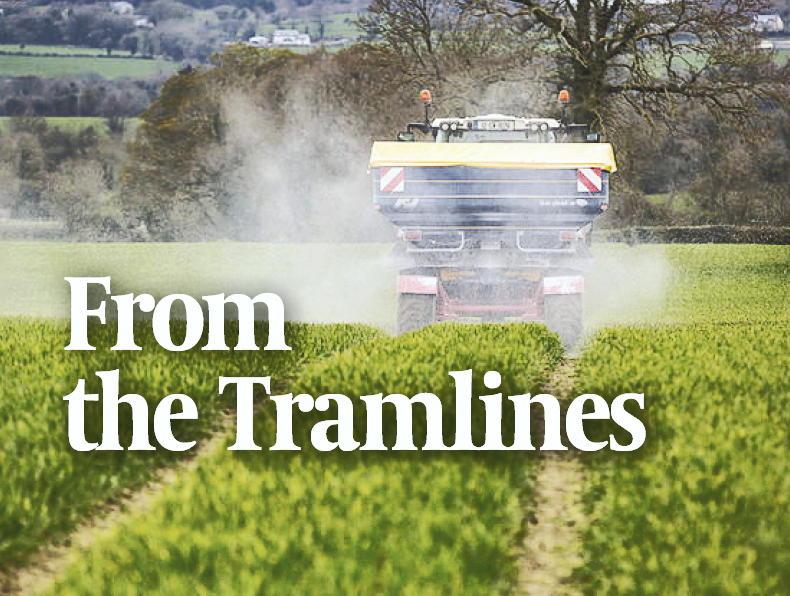 Tramlines event to take place on 7 September - Vimarsana News