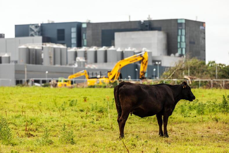 Further €30m of Brexit fund opened to meat and dairy processors - Vimarsana News