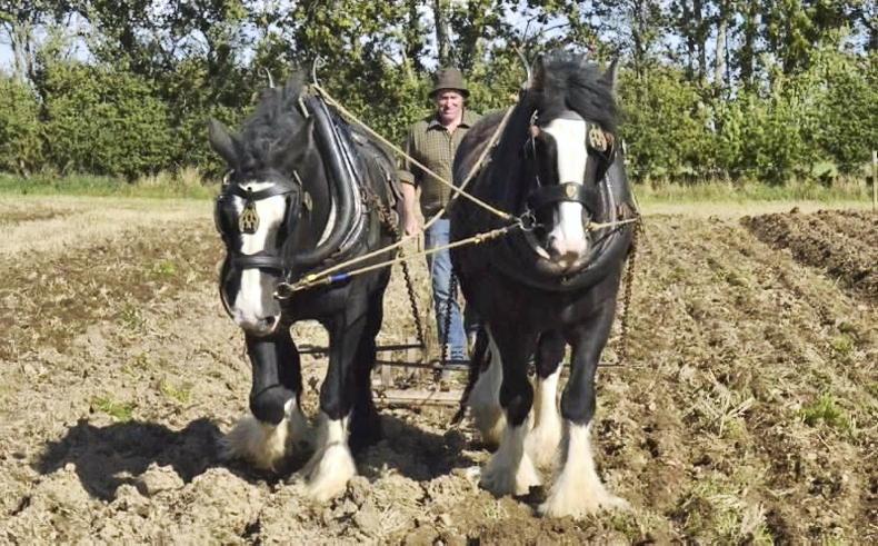 Declan Nerney to headline Knockbridge Vintage Rally 