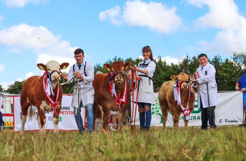 FBD all-Ireland stockperson titles head to Leitrim, Louth and Donegal - Vimarsana News