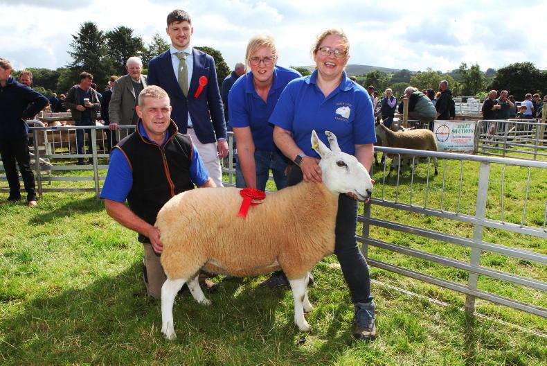 NI news round-up: energy costs, show support and slow-reared chickens - Vimarsana News