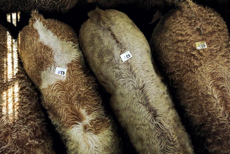 Edenderry Mart ordered to pay farmer €75,000 who was gored by bull - Vimarsana News