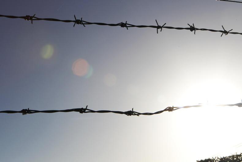 Reader Writes: on my mother’s grave, I seen her