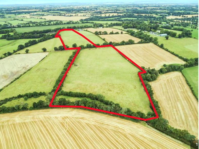 23ac of good land for auction in Carlow Free