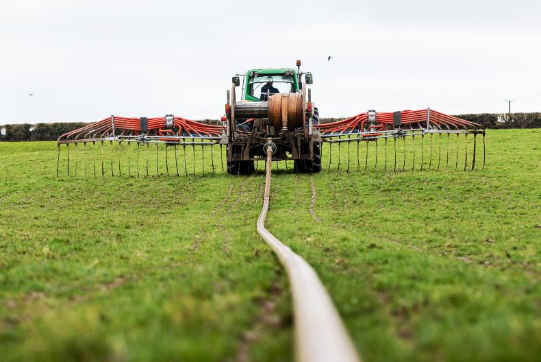 Dutch farmers to face phasing out of derogation - Vimarsana News