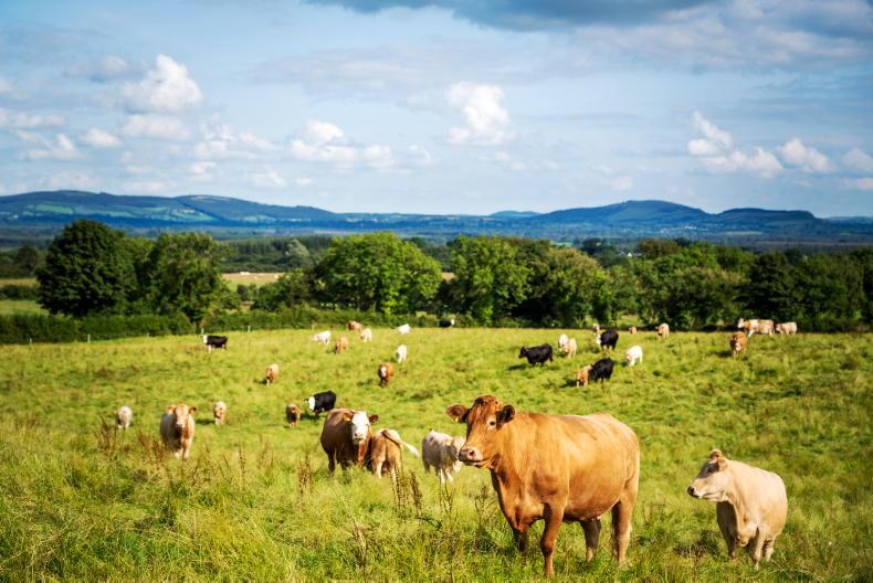Green light for Ireland's CAP Strategic Plan 2023-2027 05 October 2022 Free - Vimarsana News