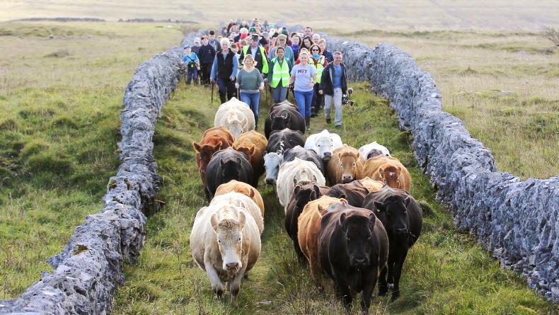 Burren 'Winterage' festival to take place last week of October 05 October 2022 Free - Vimarsana News